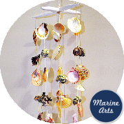 8152 - Wind Chime - Starfish Top